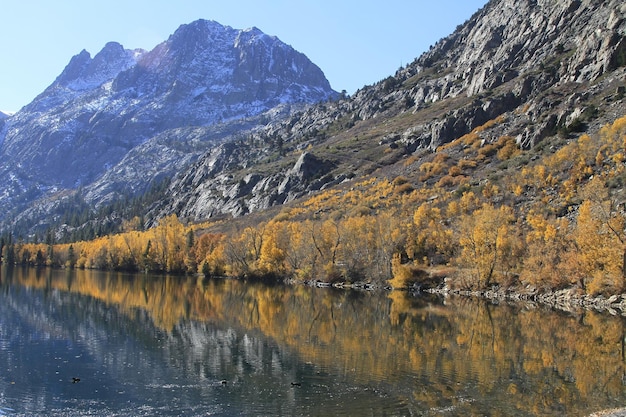 Jesienne kolory w czerwcowym jeziorze i wschodnich sierrach w Kalifornii