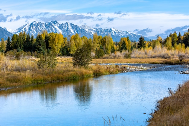 Jesienne kolory w Parku Narodowym Grand Teton