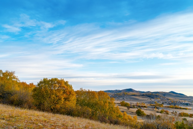 Jesienne łąki Mongolii Wewnętrznej