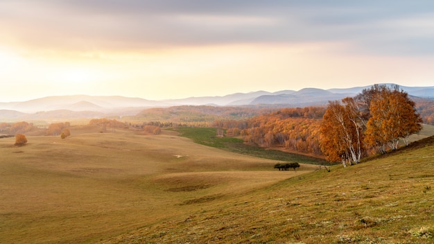 Jesienne łąki Mongolii Wewnętrznej