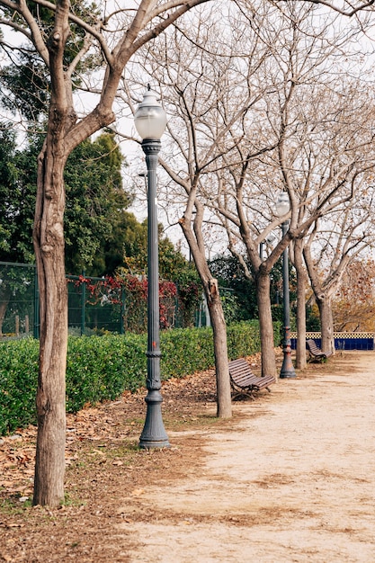Jesienne latarnie parkowe drzewa bez liści i czerwone liście w ponurym parku