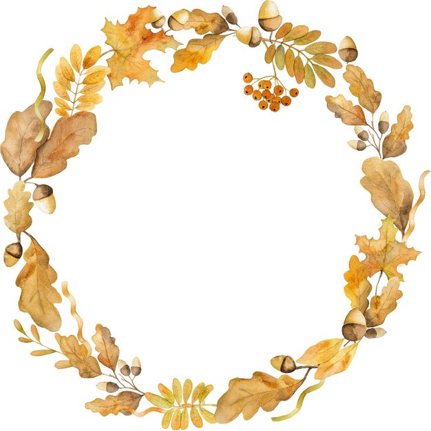 Jesienne liście dębu i klonu rama akwarela rysunek z miejsca na kopię Sezon jesienny liści akwarela malarstwo