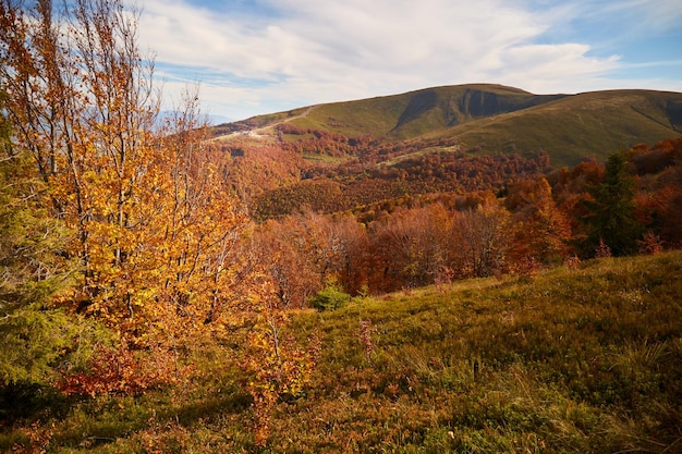 Jesienne Pasmo Górskie Karpaty Ukraina Szlaki Piesze I Piesze Na Grzbiecie Borżawy Wiejski Obszar Karpat Jesienią