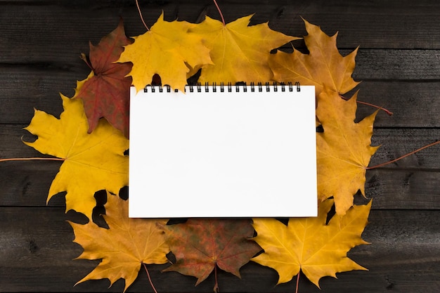 Zdjęcie jesienne tło pusty notatnik leży na jesiennych liściach klonu miejsce na napis tekstowy