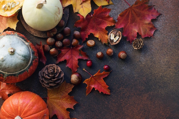 Jesienne tło z ozdobnymi orzechami dyni i jesiennymi liśćmi na ciemnym kamiennym stole żniwa martwa kompozycja tło dziękczynienia