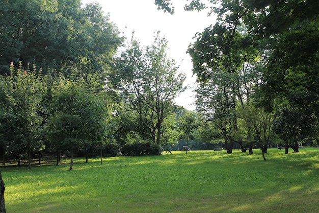 Jesienne wesołe kolory jesieni City Park czeka na jesień