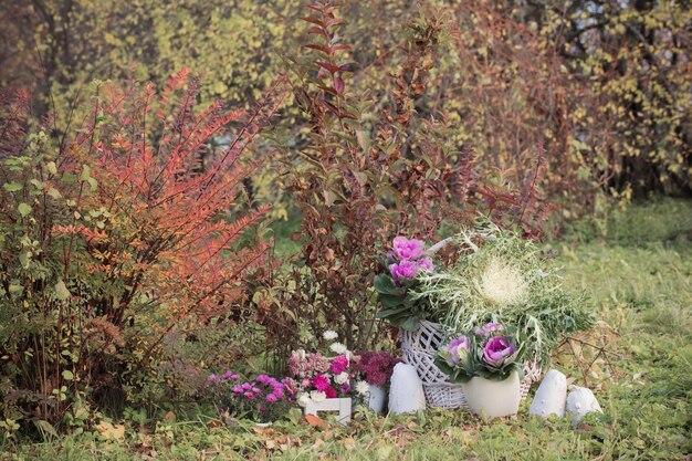 Jesienne Wiejskie Dekoracje W Ogrodzie Z Dyniami, Kwiatami I Ozdobną Kapustą