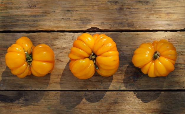 Jesienne zbiory żywności tło Warzywa z gospodarstw ekologicznych na drewnianym tle Świeże dojrzałe żółte pomidory