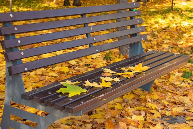 Jesienne żółte liście klonu leżą na brązowej drewnianej ławce w parku Jesienne liście w mieście Październik