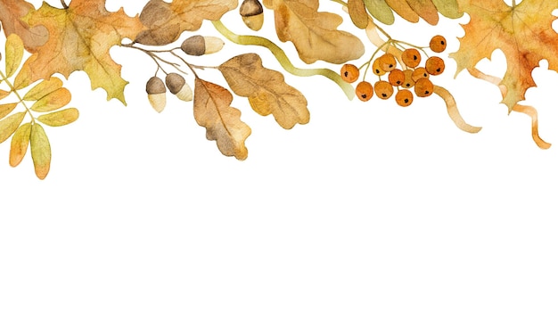 Zdjęcie jesienny dąb i liście klonu akwarela rysunek z miejsca na kopię sezon jesienny liści akwarela malarstwo