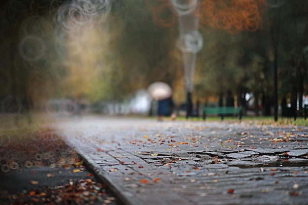 Jesienny deszcz tła w parku