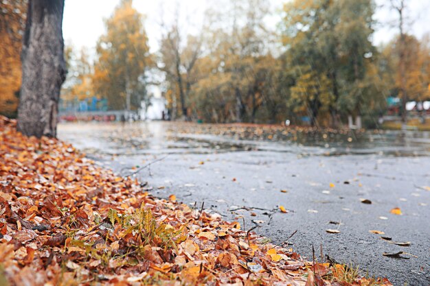 Jesienny Deszcz W Parku W Ciągu Dnia