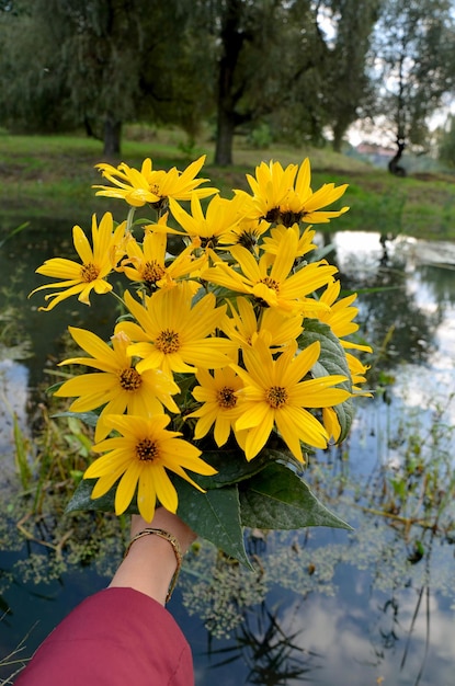 Jesienny jesienny bukiet żółtych kwiatów w ręku z bliska