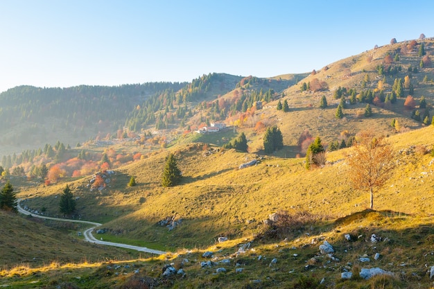 Jesienny krajobraz górski. Droga gruntowa w perspektywie. Góra Grappa, włoskie Alpy