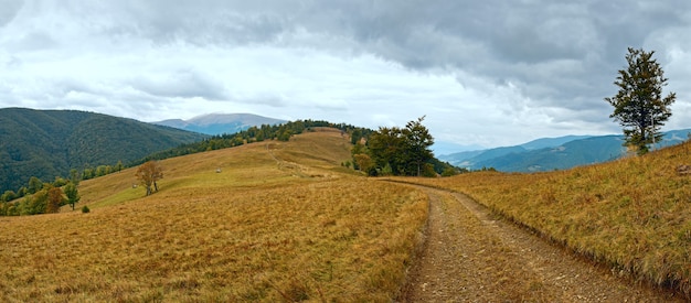 Jesienny krajobraz Karpat (Ukraina) z wiejskiej drogi. Panorama.