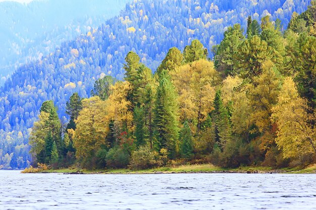 jesienny krajobraz leśny, abstrakcyjne tło Październikowy widok w żółtych drzewach, jesień natura