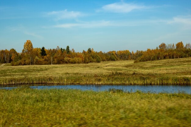 Jesienny Krajobraz Leśny Z żółtym Polem Drzew I Stawem