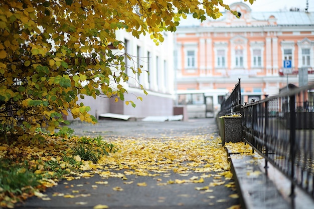 Jesienny krajobraz. Liście lecą z drzew w mieście. Jesień w mieście na małej uliczce wzdłuż kutych ogrodzeń