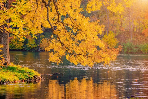 Jesienny krajobraz parkowy z jeziorem Jesień Nowy sezon Piękny krajobraz