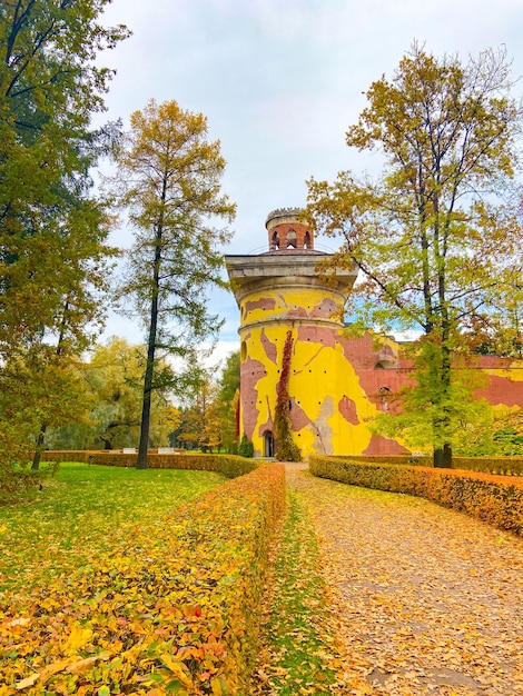 Jesienny krajobraz parku Aleje parku Spacer po parku Artykuł o jesieni