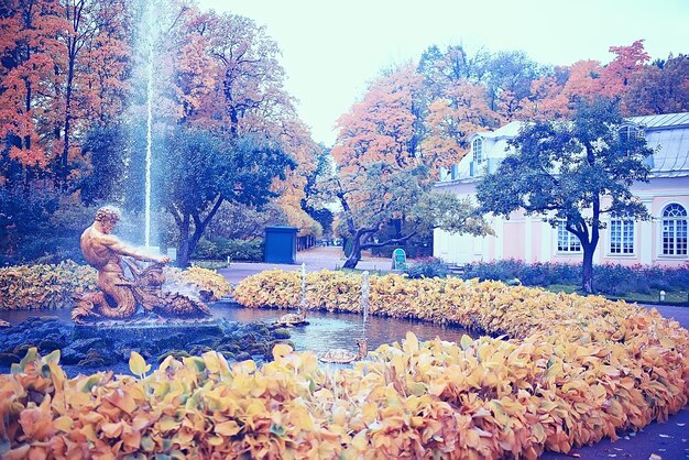 jesienny krajobraz Peterhof / jesienny park w petersburgu, sezon jesienny w żółtym parku