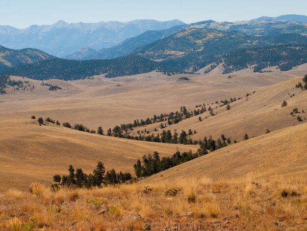 Jesienny krajobraz w Kolorado.