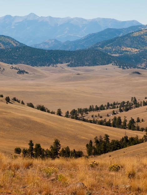 Jesienny Krajobraz W Kolorado.