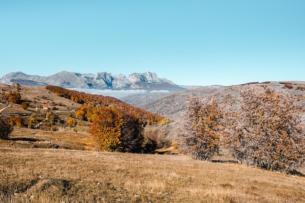 Jesienny krajobraz w Parku Narodowym Durmitor Czarnogóra Obraz w ciepłych kolorach jesienią