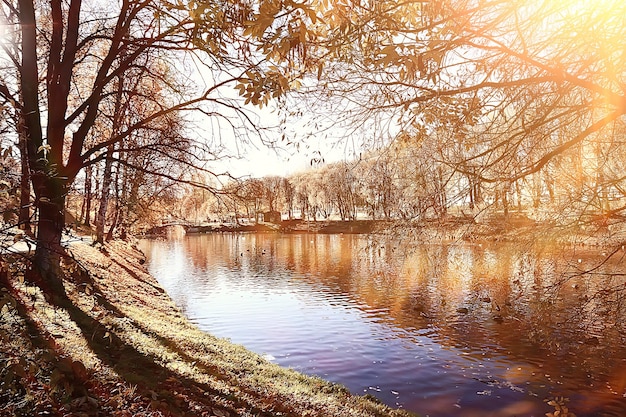 jesienny krajobraz w parku / sezonowy żółty krajobraz słoneczny park z opadłymi liśćmi