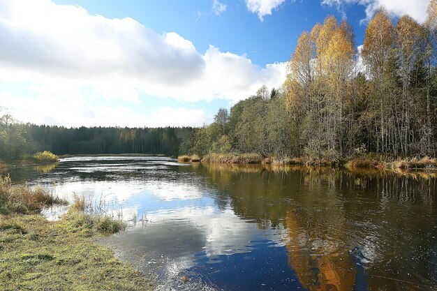 jesienny krajobraz w parku / sezonowy żółty krajobraz słoneczny park z opadłymi liśćmi