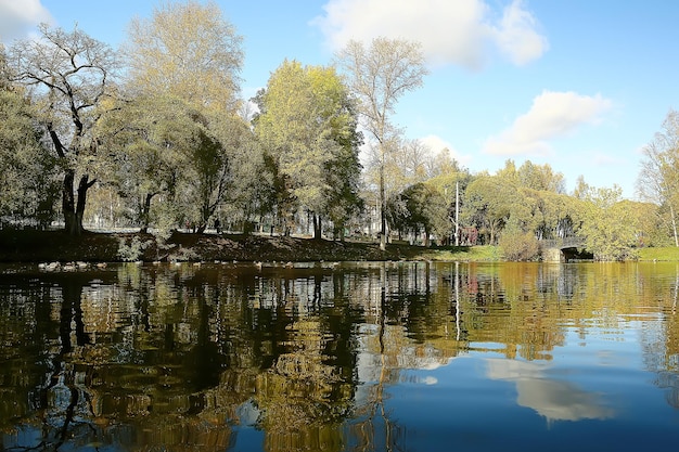 jesienny krajobraz w parku / sezonowy żółty krajobraz słoneczny park z opadłymi liśćmi