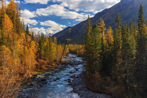 Jesienny krajobraz z górami, rzeką i żółtymi drzewami