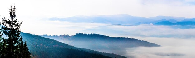 Jesienny krajobraz z mgłą w górach Jodłowy las na wzgórzach Karpaty Ukraina Europa