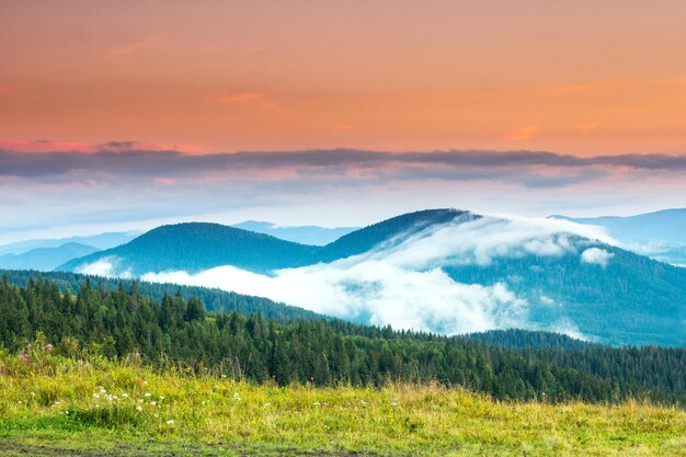 Jesienny krajobraz z mgłą w górach Jodłowy las na wzgórzach