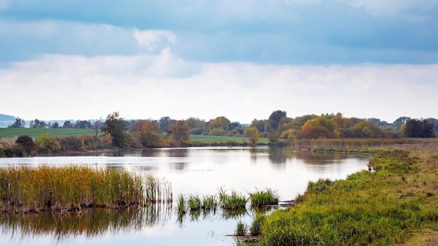 Jesienny krajobraz z rzeką i zaroślami trzcin