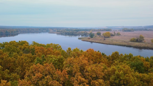 Jesienny las dębowy. gładka panorama. Widok z lotu ptaka.