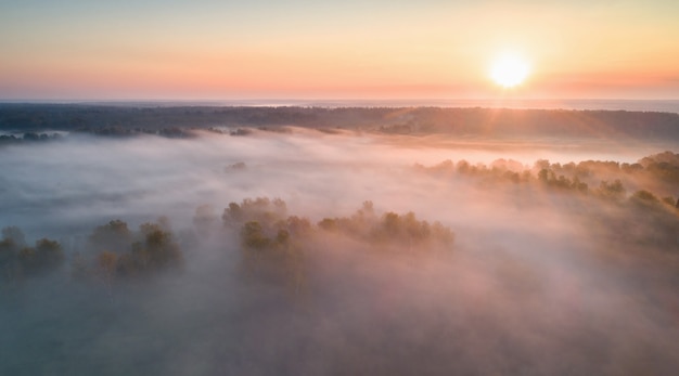 Jesienny las i wschód słońca są we mgle, sesja zdjęciowa dronem.