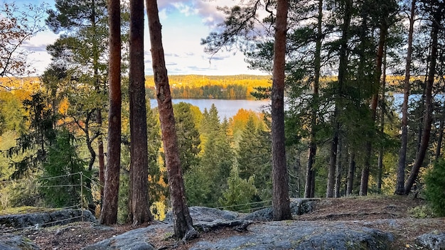 Jesienny las Widok na jezioro z klifu