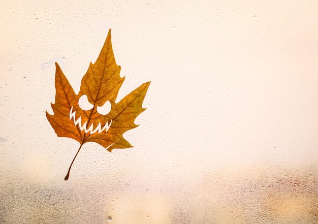 Jesienny liść klonu z wyrzeźbioną przerażającą twarzą na oknie z kroplami deszczu Kopiuj przestrzeń Karta Halloween