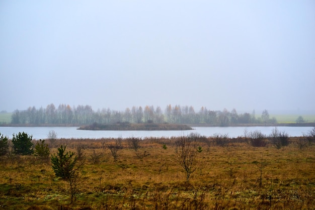 Jesienny mglisty krajobraz z jeziorem i przyćmionym niebem w tle