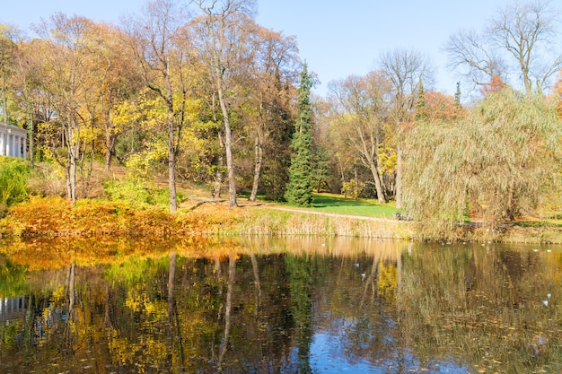 Jesienny park z drzewami nad wodami jeziora