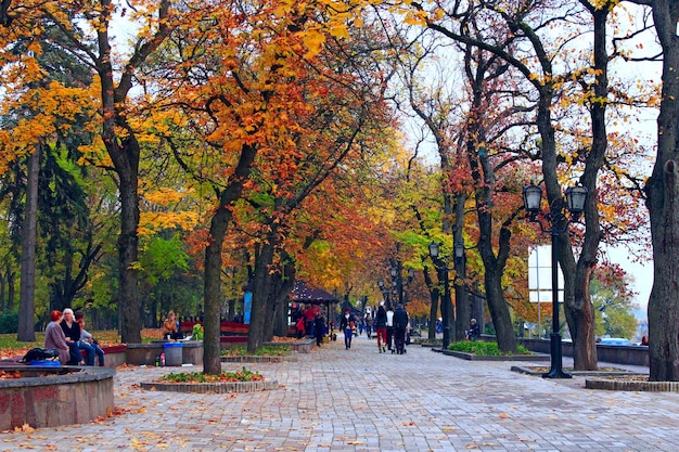 Jesienny park ze ścieżką spacerową i dużymi drzewami