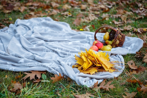 Jesienny piknik w parku, las na narzucie, w koszu dynia, jabłka, świeża bagietka. Opadłe liście na ziemi