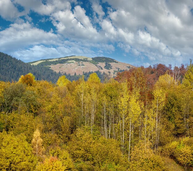 Jesienny poranek Karpaty spokojna malownicza scena Ukraina Scena pokojowego podróżowania sezonowa przyroda i piękna krajobrazu wsi