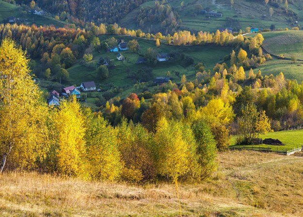 Jesienny poranek Karpaty spokojna malownicza scena Ukraina Scena pokojowego podróżowania sezonowa przyroda i piękna krajobrazu wsi