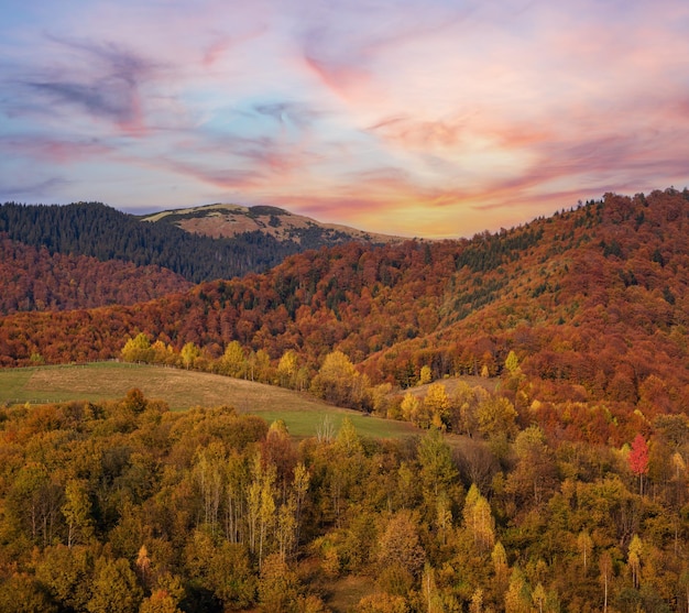 Jesienny poranek Karpaty spokojna malownicza scena Ukraina Scena pokojowego podróżowania sezonowa przyroda i piękna krajobrazu wsi