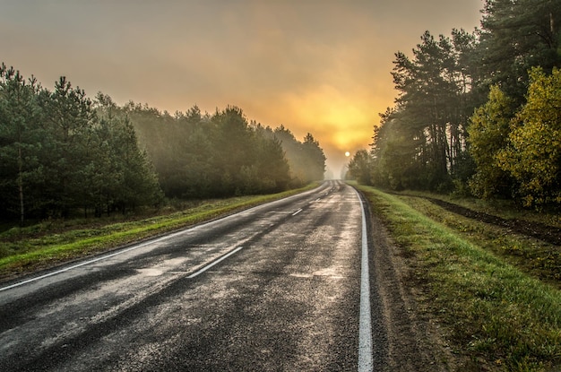 Jesienny poranek krajobraz Mokra droga po deszczu przechodzi przez las Słońce i drzewa są ukryte we mgle hard focus hdr image