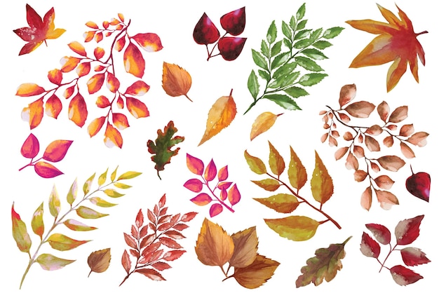 Jesienny suszony martwy liść boho ilustracja tło