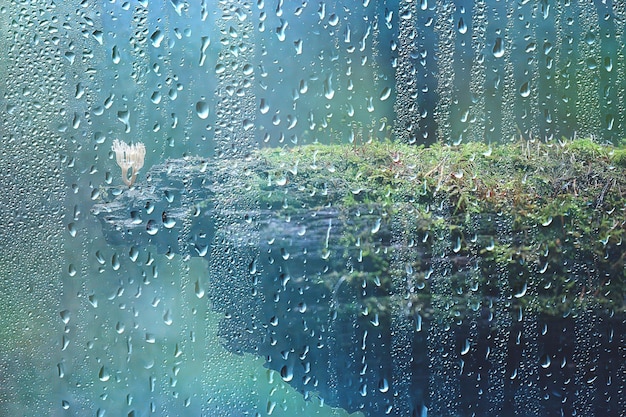 jesienny szklany deszczowy krajobraz / abstrakcyjny jesienny widok, deszczowa pogoda, klimat, szkło
