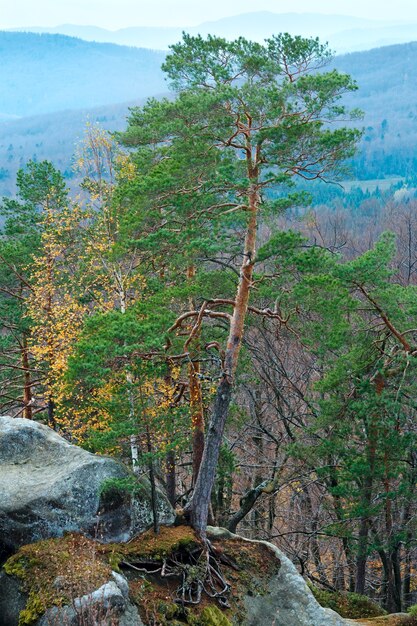 Jesienny Widok Na Las Górski Z Dużego Kamiennego Szczytu (